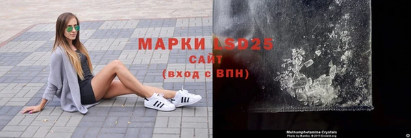 гидропоника Гусиноозёрск