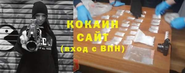 гидропоника Гусиноозёрск