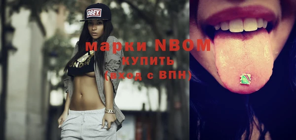 мдпв Гусь-Хрустальный