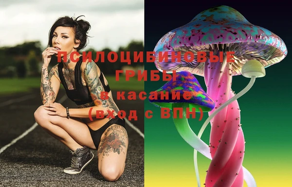 мдпв Гусь-Хрустальный