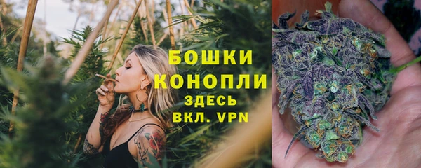 мдпв Гусь-Хрустальный