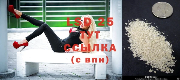 гидропоника Гусиноозёрск