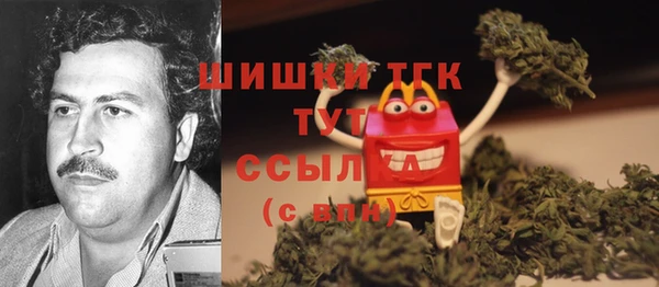 мдпв Гусь-Хрустальный